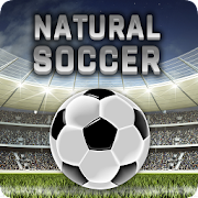 Natural Soccer - Fun Arcade Fo 