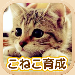 ねこ育成ゲーム - 子猫をのんびり育てる癒しの猫育成ゲーム 