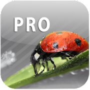 ColorUp Pro - Photo Editor