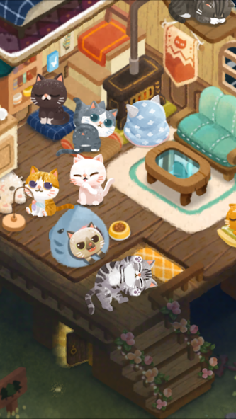 Secret Cat Forest 