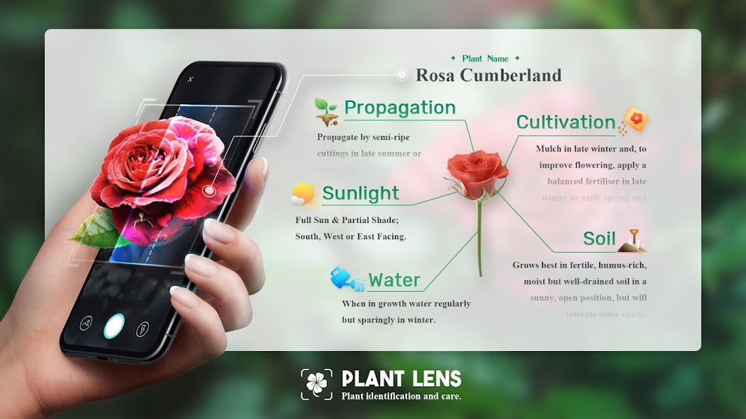 Plant Lens Plant identifier