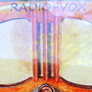 Viper Paranormal's  Radio-Vox