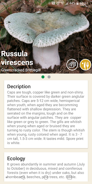 Mushrooms app