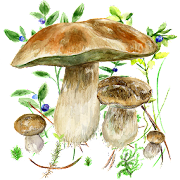 Mushrooms app