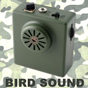 Bird Sound