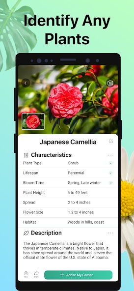 PictureThis - Plant Identifier