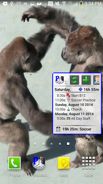 Pimlical Calendar Widget