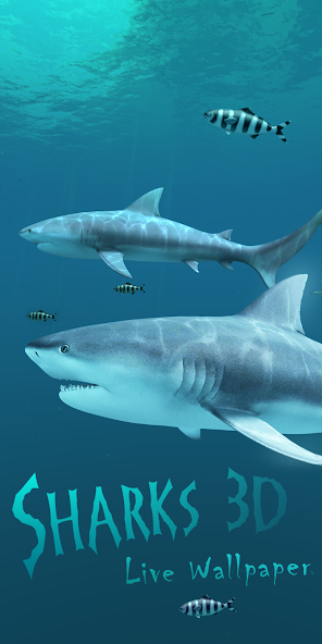 Sharks 3D - Live Wallpaper