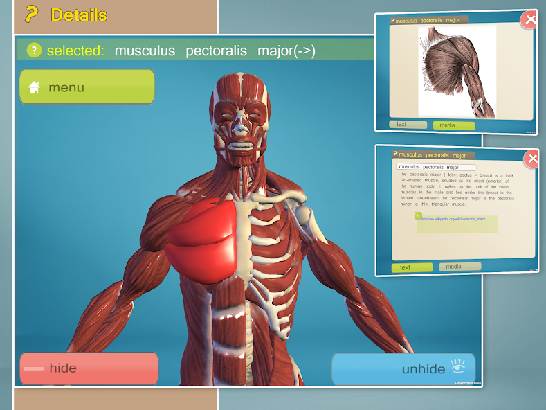 Easy Anatomy 3D - learn anatom