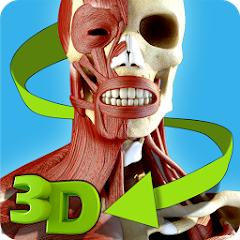 Easy Anatomy 3D - learn anatom