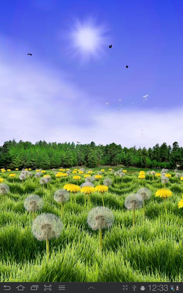 Dandelions Live Wallpaper