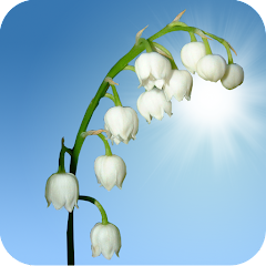 Lily of the Valley Wallpaper