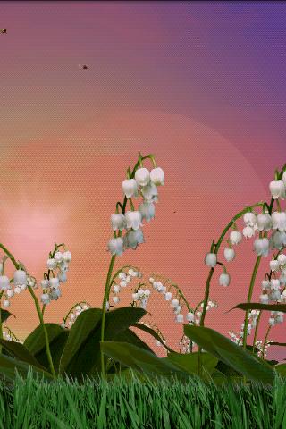 Lily of the Valley Wallpaper