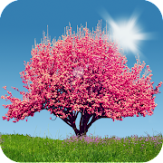 Spring Trees Live Wallpaper