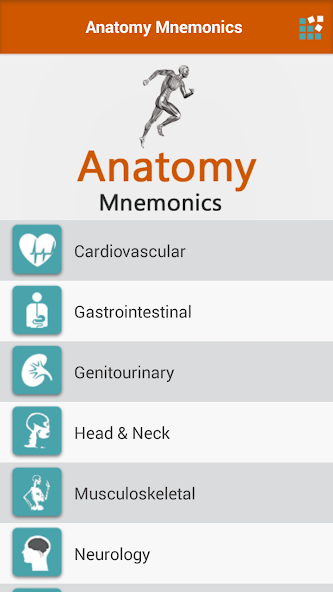 Anatomy Mnemonics