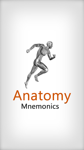 Anatomy Mnemonics