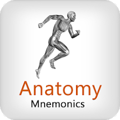 Anatomy Mnemonics