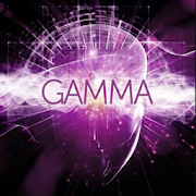 Gamma Brain Waves