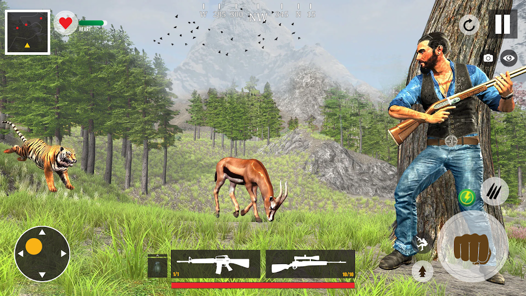 Animal Shooting Game Offline 