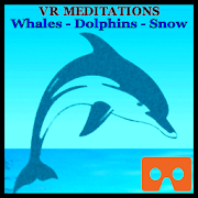 VR Meditations:Whales Dolphins