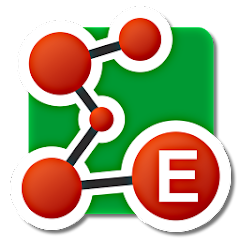 E-Codes: Food Additives