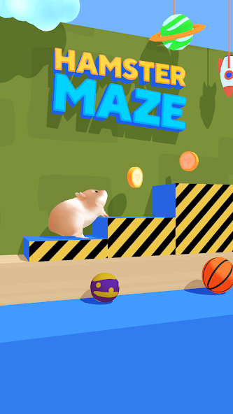 Hamster Maze 