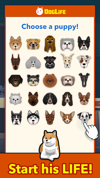 BitLife Dogs – DogLife 