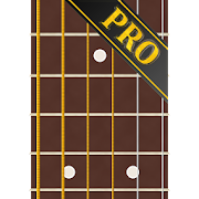 Fret Master PRO