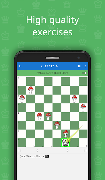 Chess School for Beginners 