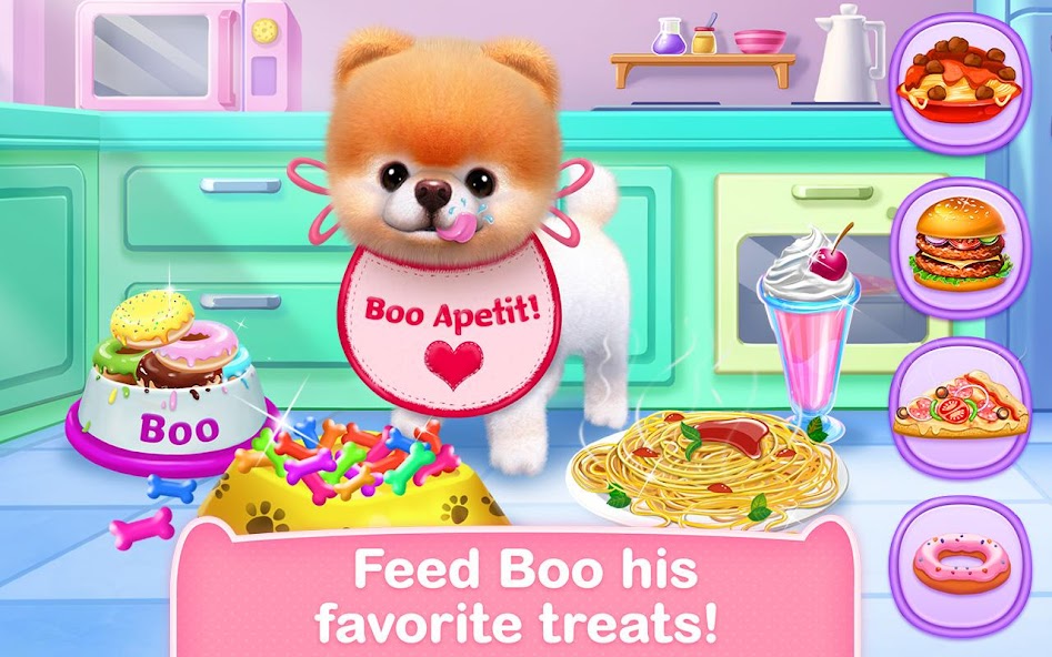 Boo - The World's Cutest Dog