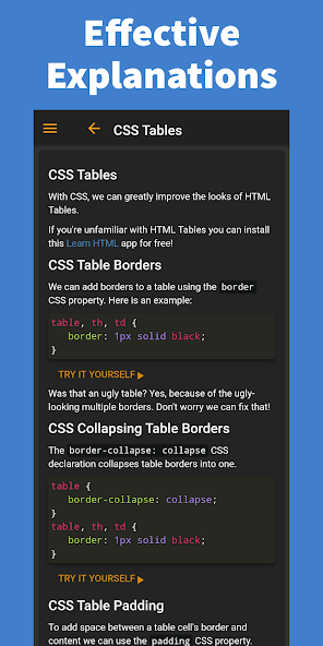 Learn CSS - Pro