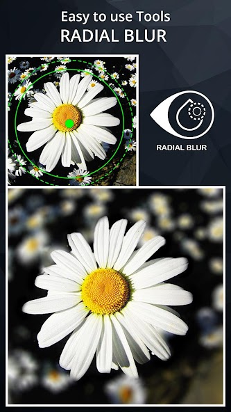 DSLR Camera Blur Effects