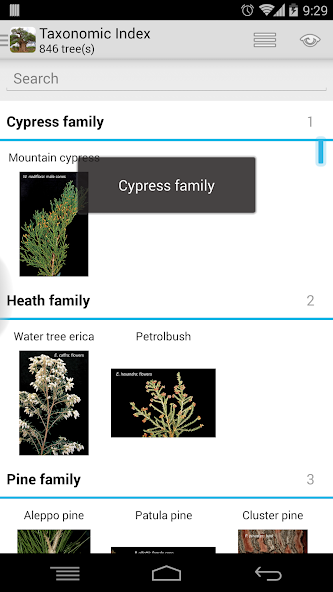 eTrees of Southern Africa