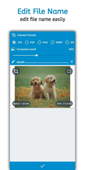 Image Converter Pro