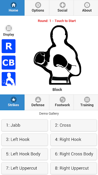 Cyber Boxing Pro