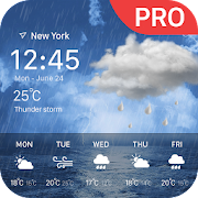 weather forecast pro