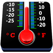 Real Mercury Thermometer