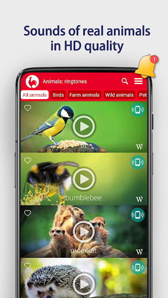 Animals: Ringtones