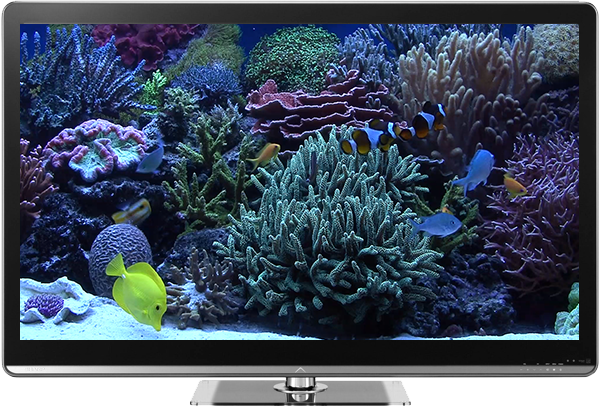 Aquariums on TV via Chromecast