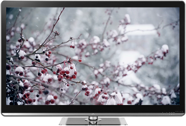 Snowfall on TV via Chromecast