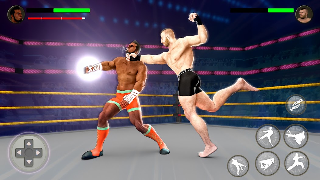 PRO Wrestling Fighting Game 