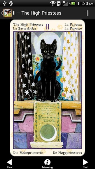 Tarot of Pagan Cats