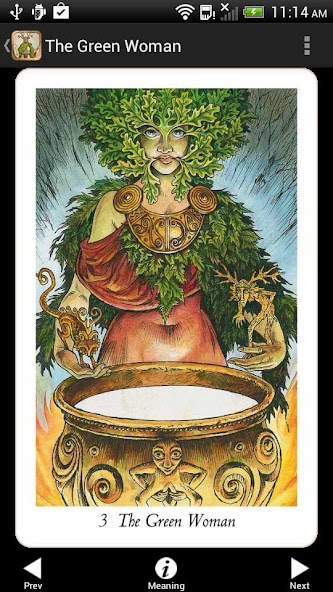 Wildwood Tarot