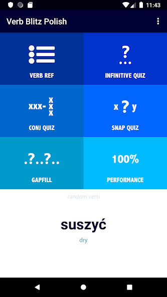 Polish Verb Blitz Pro