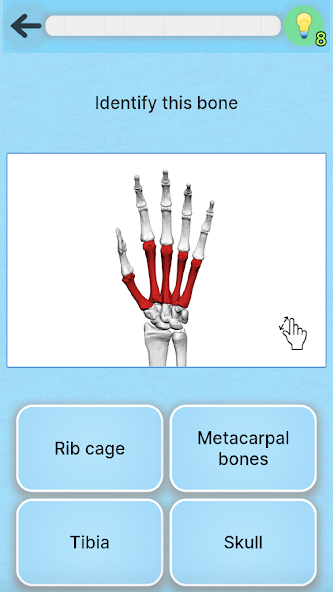 Anatomy Game 