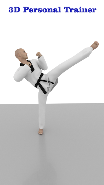 Taekwondo Workout At Home