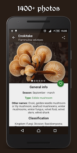 Book of Mushrooms PRO