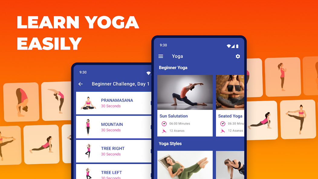 Yoga Daily Workout+Meditation