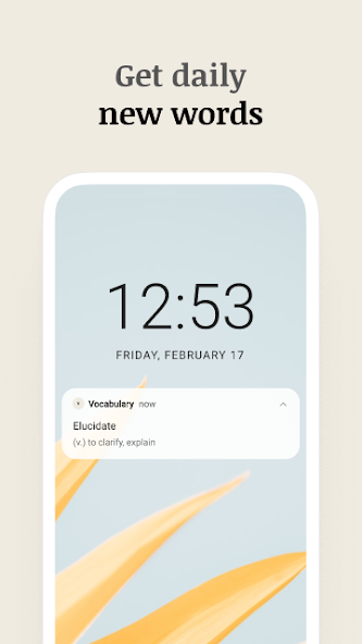 Vocabulary - Learn words daily