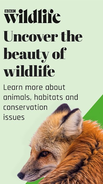 BBC Wildlife Magazine